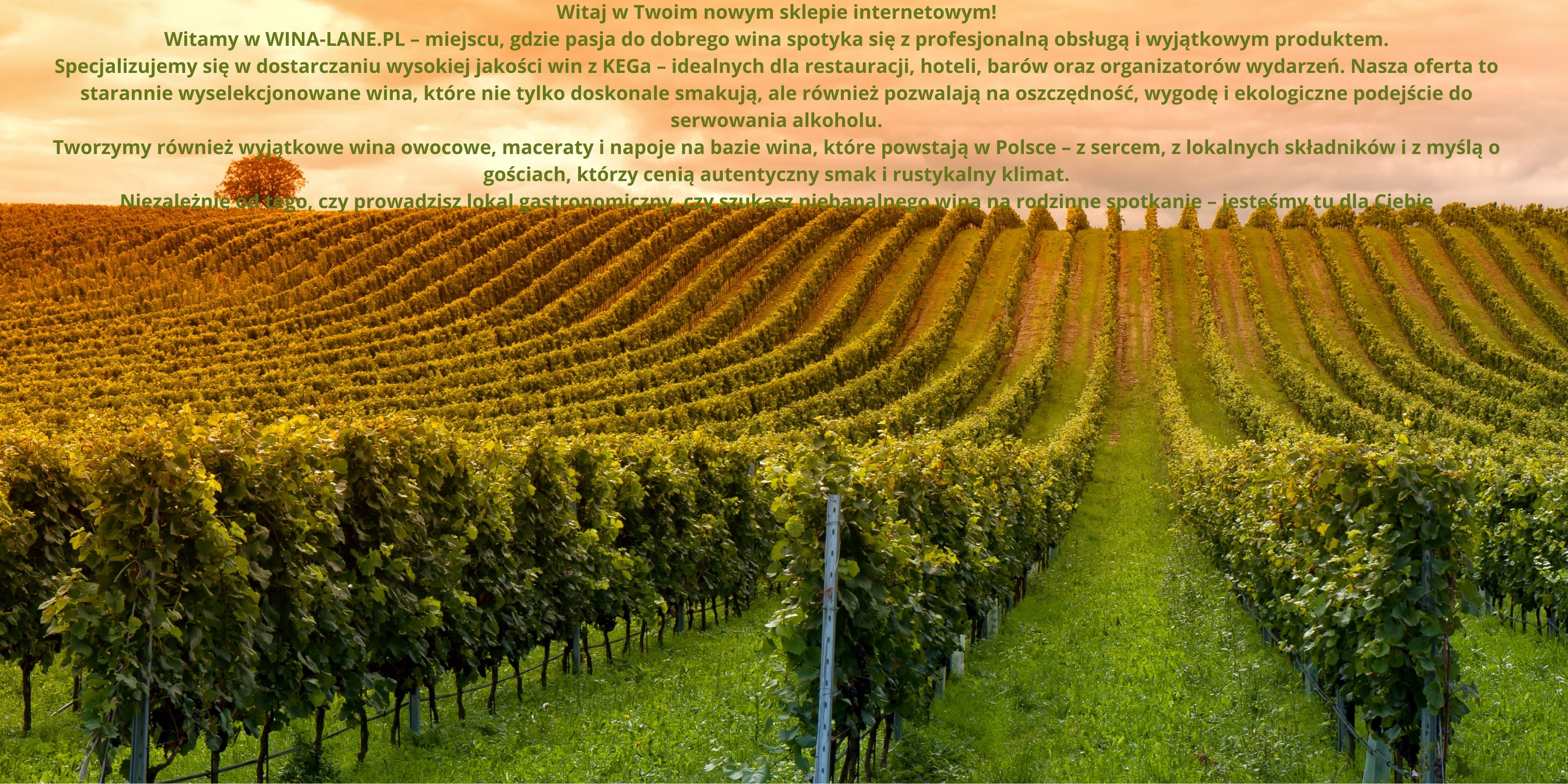 1Witaj w Twoim nowym sklepie internetowym! Witamy w WINA-LANE – miejscu, gdzie pasja do dobrego wina spotyka się z profesjonalną obsługą i wyjątkowym produktem Specjalizujemy się w dostarczaniu-4